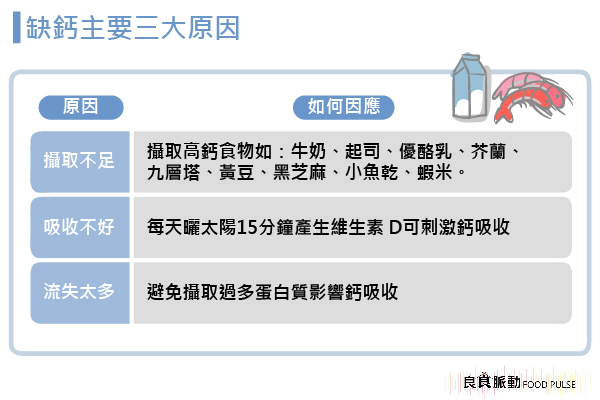 蛋白質攝取過量，會影響鈣吸收？