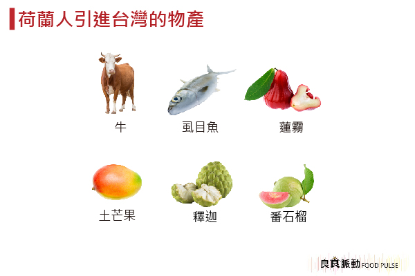台灣有哪些食物是從荷蘭人引進?