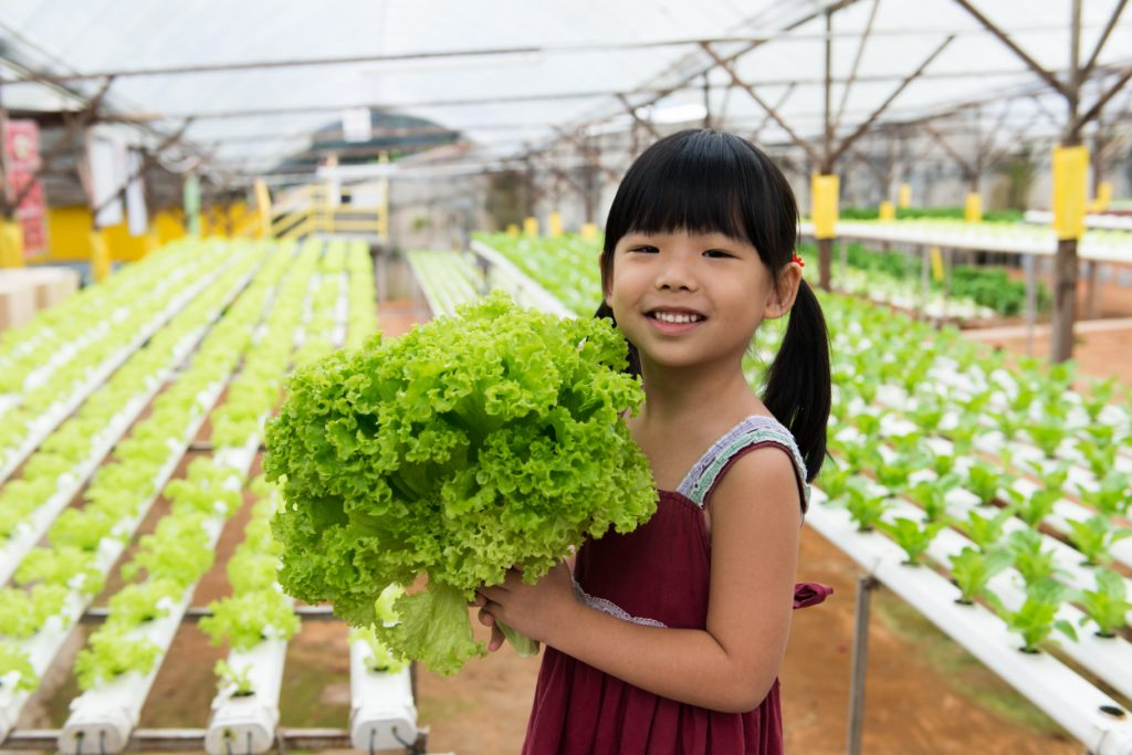 如何教孩子認識在地的「飲食文化」?