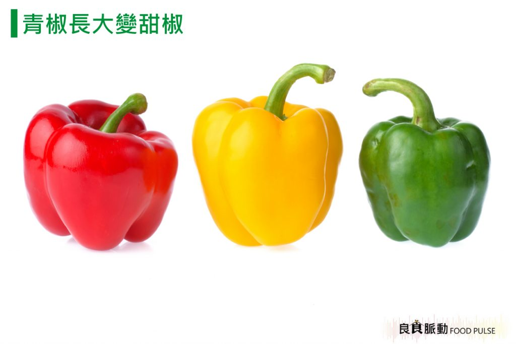 青椒和甜椒是一樣的品種嗎?