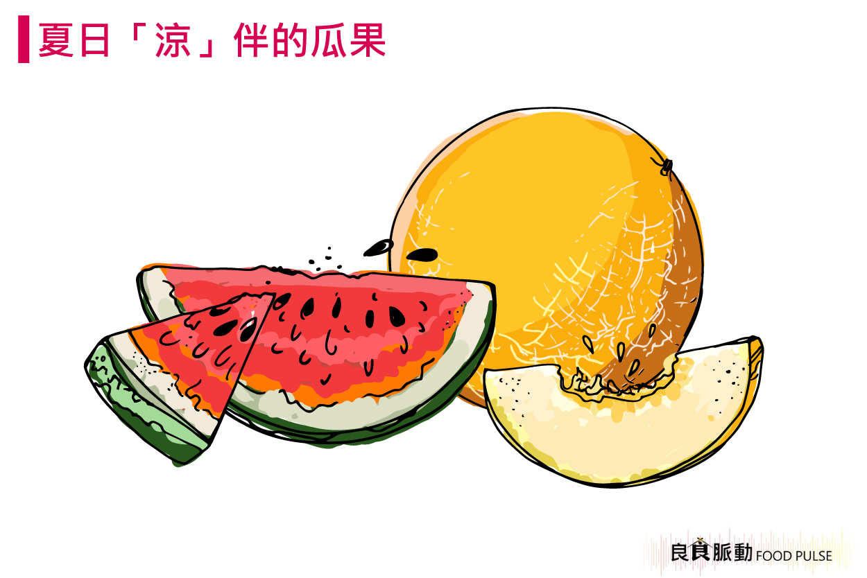 為什麼瓜類作物能消暑解熱？