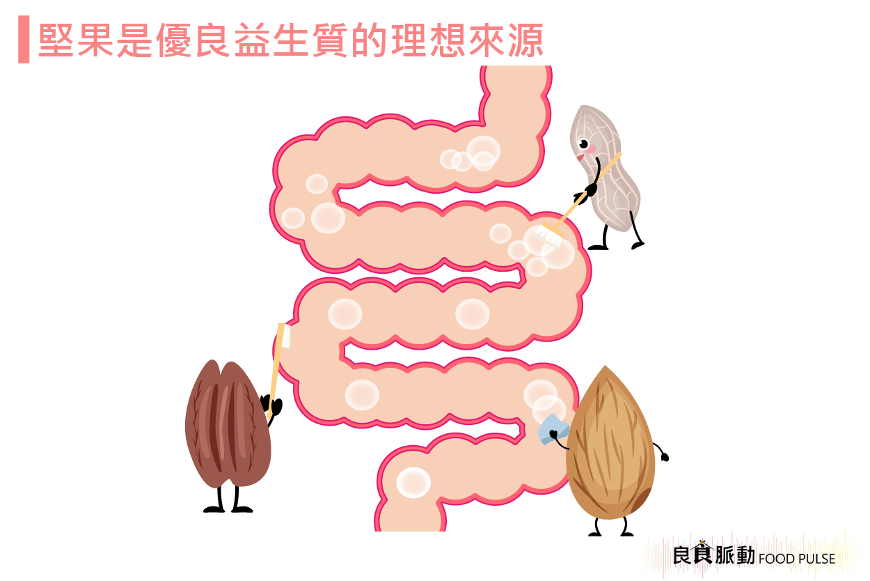吃堅果能幫助促進腸道健康嗎?