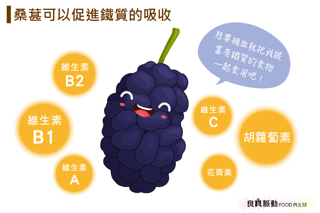 桑葚可以補血嗎?