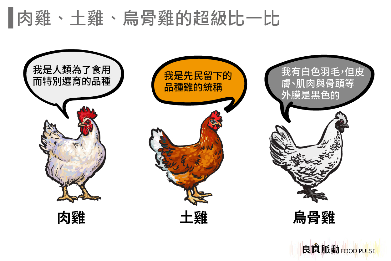 肉雞、土雞、烏骨雞,到底哪裡不一樣?