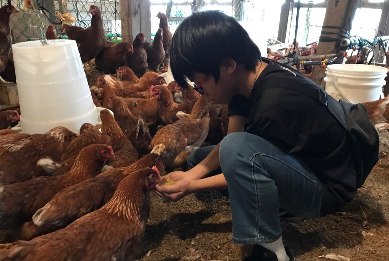 農事體驗能讓孩子更惜食嗎？