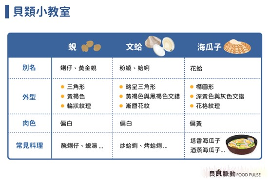 蜆、文蛤和海瓜子如何區分？