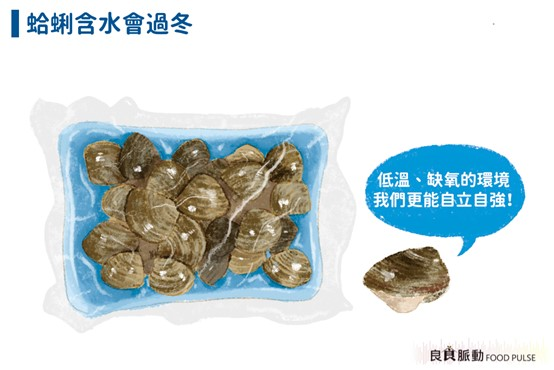 真空包裝的文蛤還活著嗎?
