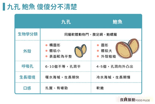 九孔、鮑魚怎麼分？