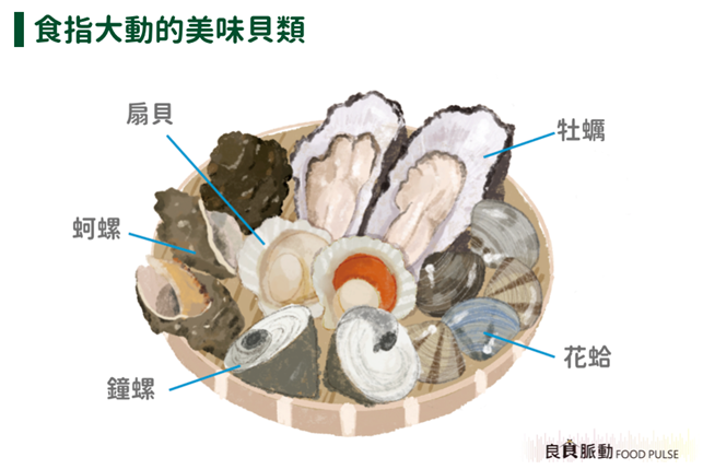 潮間帶常見食用貝類？