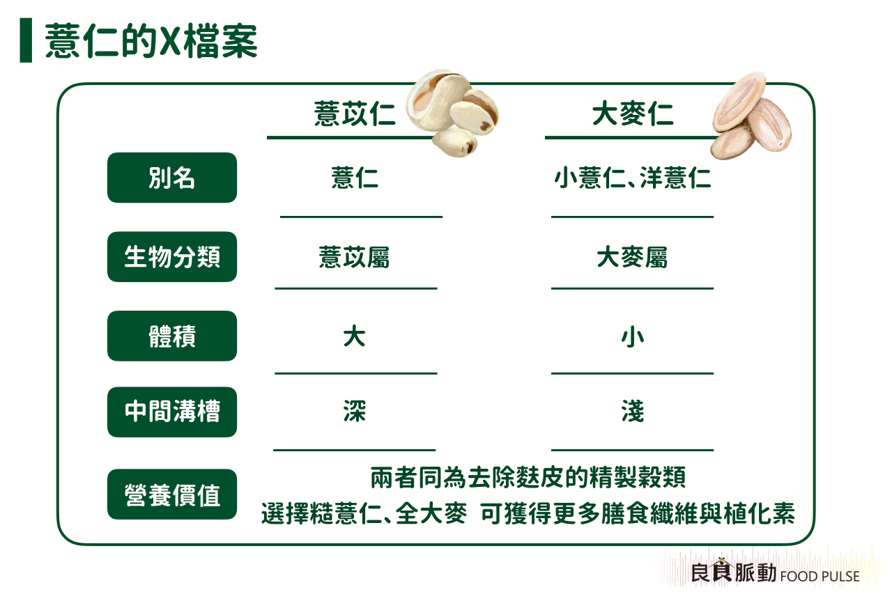 四神湯的四神是什麼？大小薏仁又有什麼差別？