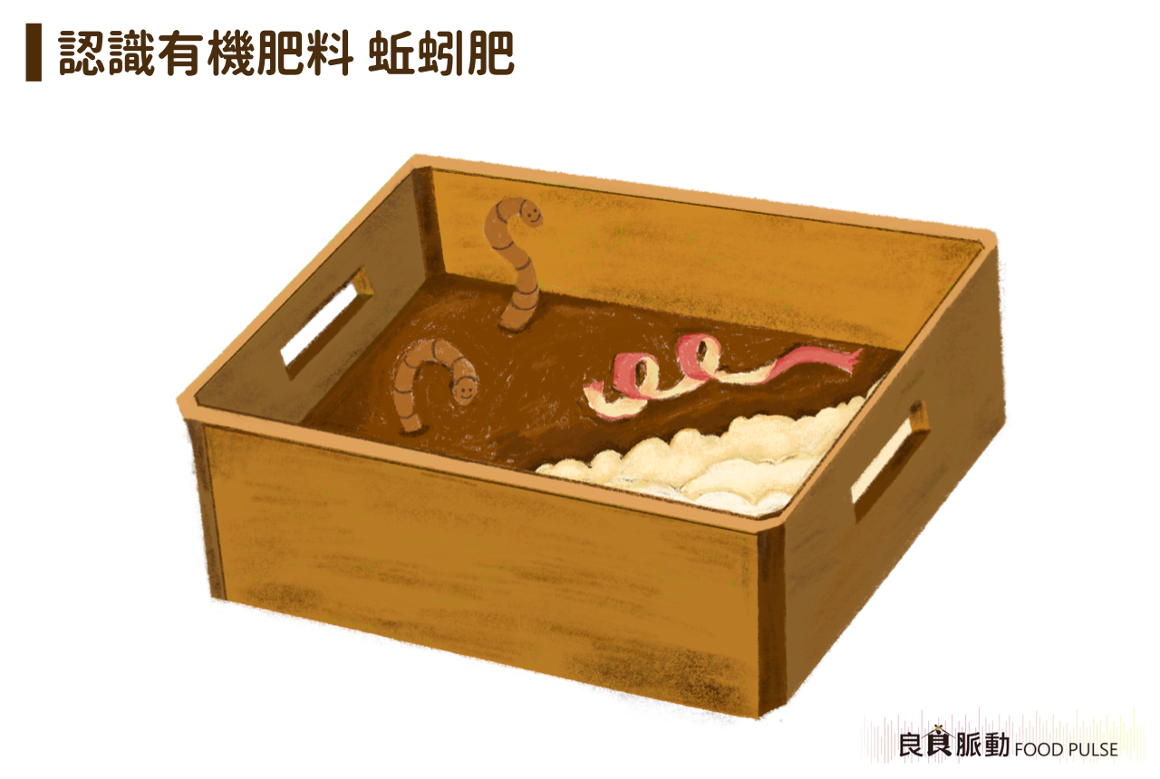 有聽過蚯蚓肥嗎？灃食帶你了解永續生產的好方法！