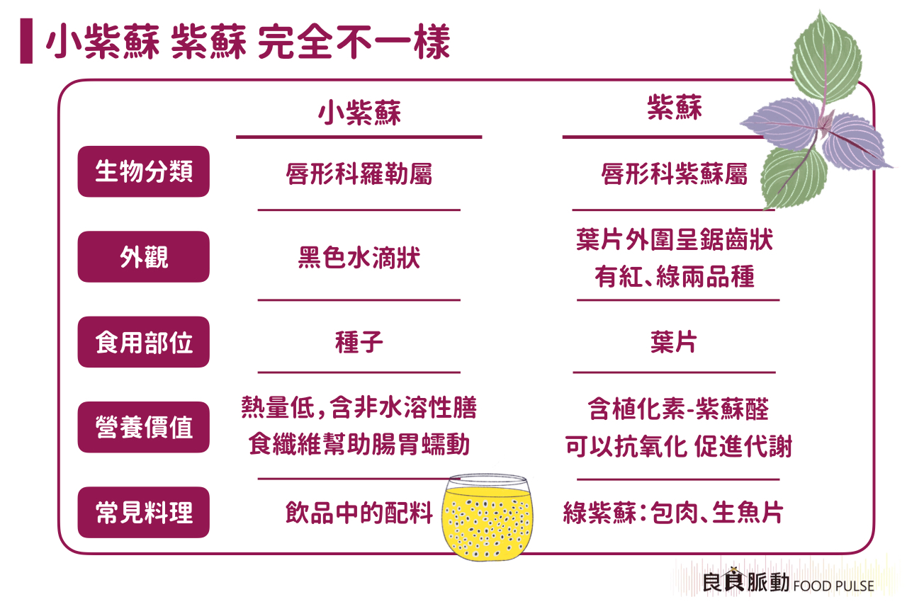 紫蘇、小紫蘇有什麼不同?