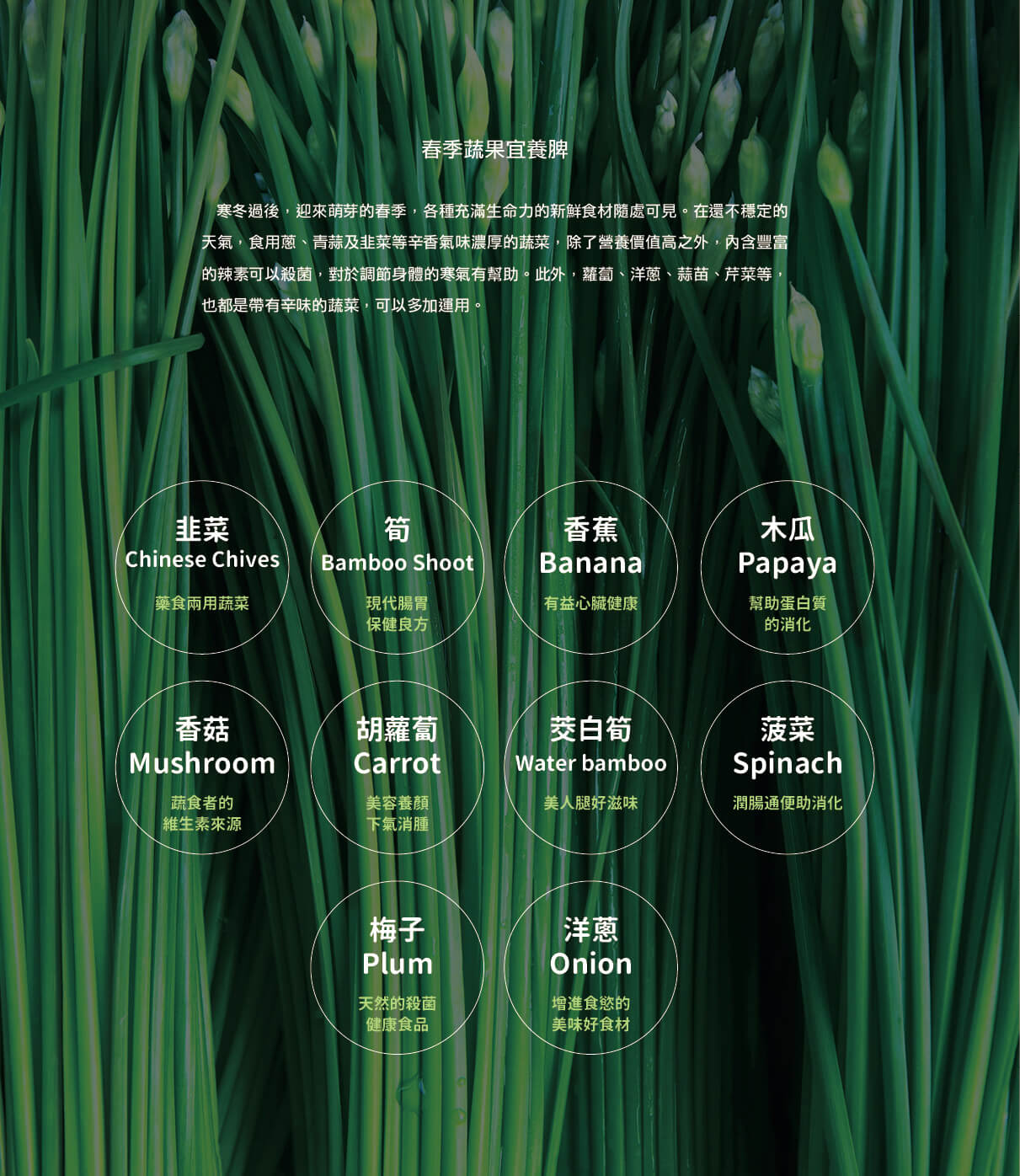 季刊No.08 | 四季蔬果養生 享受季節餐桌