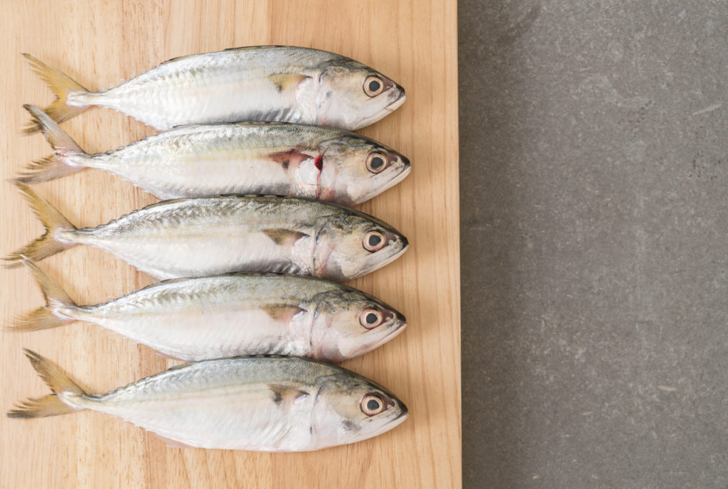 為什麼海水魚吃起來比淡水魚鮮美 灃食公益飲食文化教育基金會