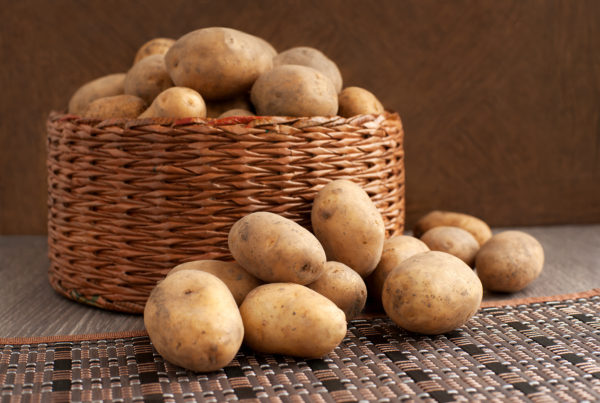 為什麼生馬鈴薯可以幫助減重、控制血糖？