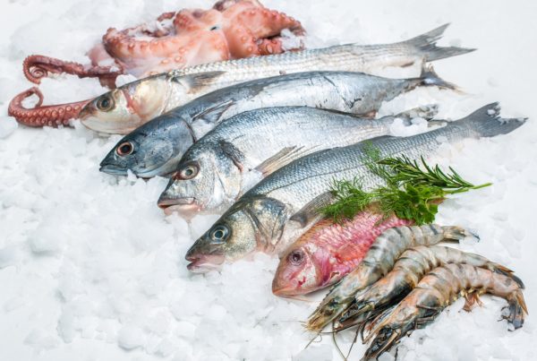 迷思：冷凍販售的魚比較不新鮮？