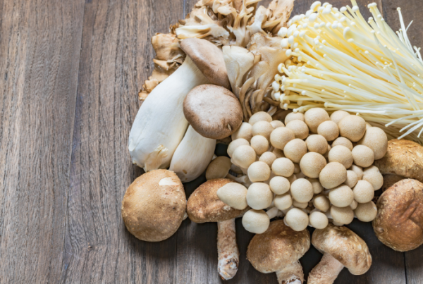 吃菇類真的能大幅提升免疫力，甚至到過強的程度嗎？